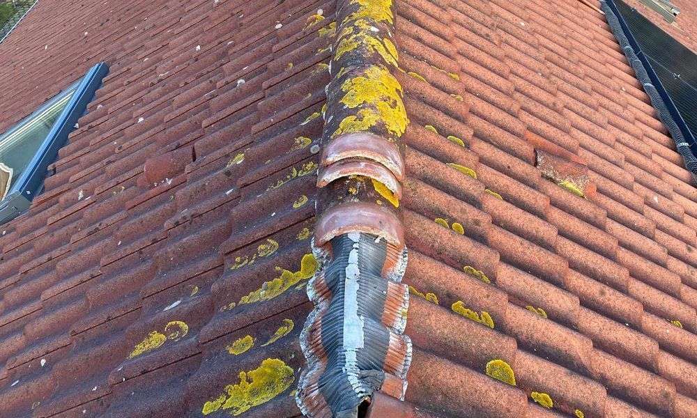 Mos op verouderde nokpannen