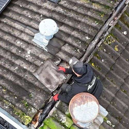 Het opnieuw vastleggen van dakpannen in Sint-Michielgestel